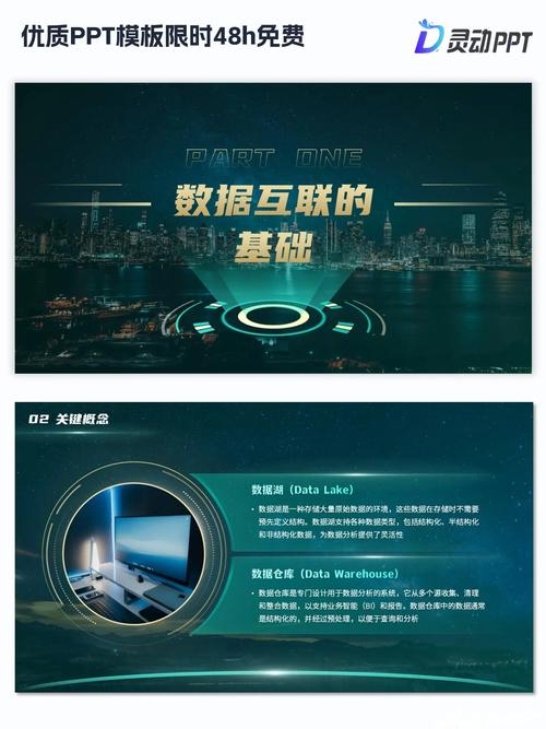 数据互联网ppt模板限时48h送